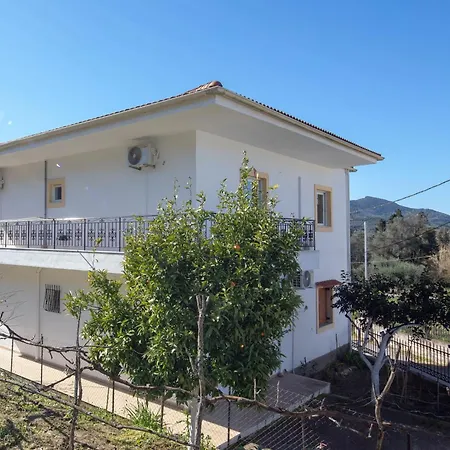 Daire Stamatis House